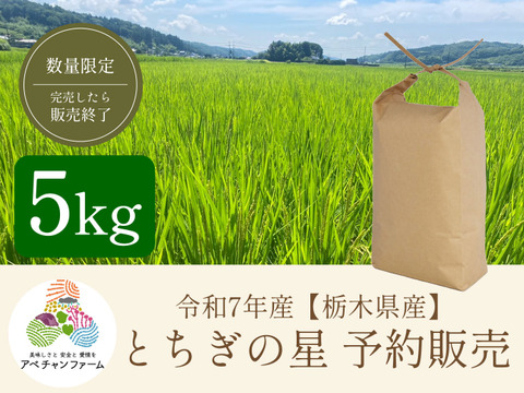 令和4年産20kg『新米*とちぎの星』*無洗米*大嘗祭献上米 新米とちぎの星 無洗米 20kg 令和4年 栃木産 農家直送で