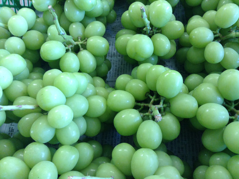 わたしにご褒美！シャインマスカット（ご自分用700g）