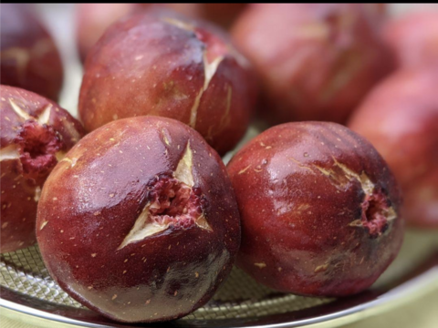 完熟冷凍いちじく☆ドーフィン