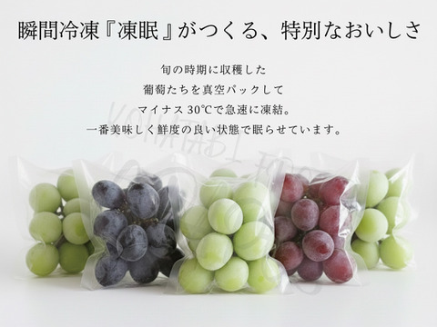 【冷眠】で旬をそのままに！
晴れの国岡山県産
冷凍ぶどう詰め合わせ150g×4p