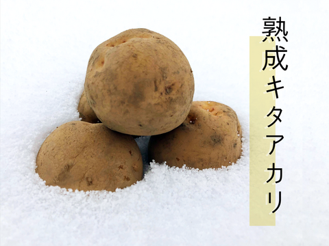 【北海道】ジャガイモ　氷温熟成キタアカリ　Mサイズ10㎏