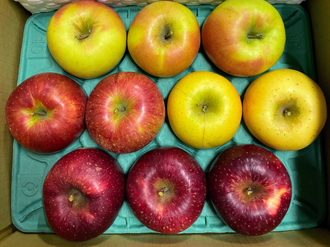 【贅沢４品種ミックス】信州安曇野産りんご３kg上品🍎8個～12個入り※化学合成農薬約40%削減