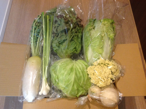 Sサイズ ＊旬野菜セット(約6~7品)【農薬：栽培期間中不使用】