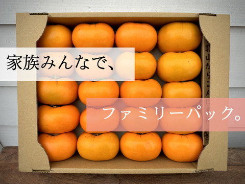 【送料500引き🍂】ジュワ！ 甘っ！ 平核無（ひらたねなし）柿🟠✨　ファミリーパック L以上15〜20個入り 11月上旬より順次発送