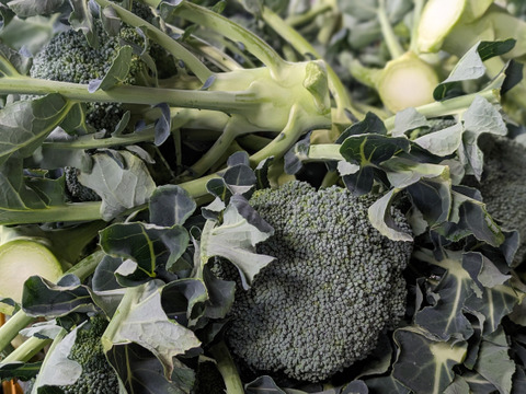 ともちゃん厳選！春の野菜セット