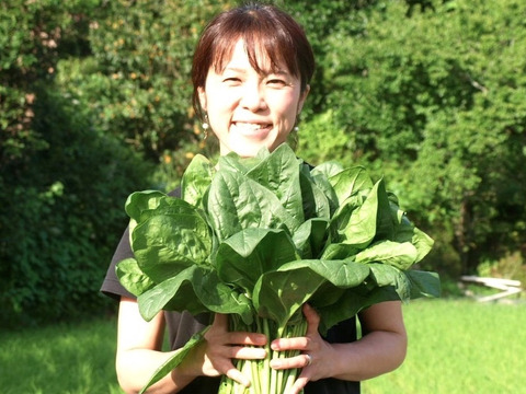 【食べチョクアワード2023総合1位】ほうれん草専業農家の生でも食べられるほうれん草 1袋（150~200g）