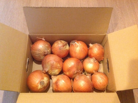 少し訳あり「あま〜くて」美味しい淡路島玉ねぎ　10kg