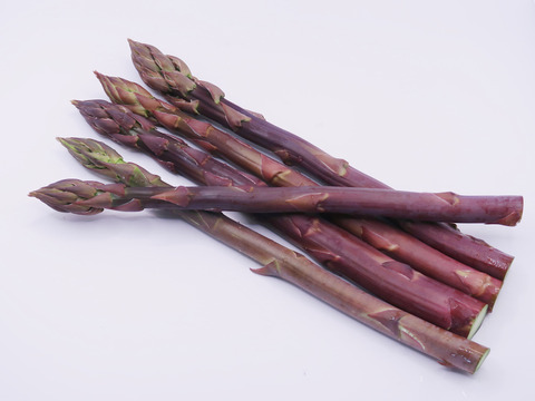 【希少】富良野産　ラベンダーアスパラ（L・2Lサイズ 800g）