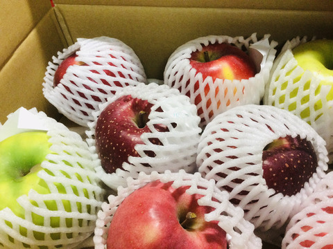 【食べ比べ】リンゴ詰め合わせ！　希少品種も🍎3キロ箱　7〜15個商品ID48414