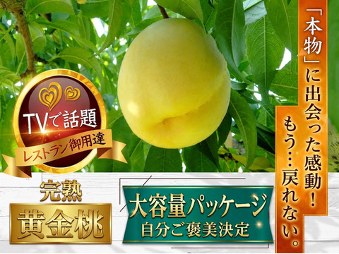 🍑見つけたらラッキー🍑市場に出回らない黄金桃大容量パッケージ【敬老の日ギフト】自分ご褒美に確かな糖度レストラン御用達の黄金モモ【先着300名限定予約】【朝どれ】【9月予約】