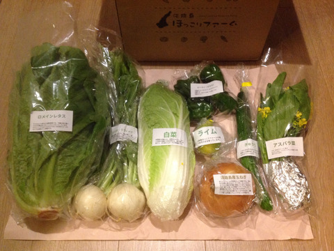Amazon.co.jp: 淡路島の新鮮野菜たっぷりセット(12種) 淡路島