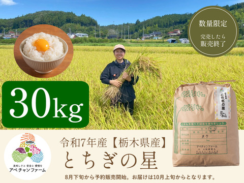 とちぎの星 新米 30kg 栃木県産 栃木県産 とちぎの星 30kg(5kg×6袋) 【無洗米】 令和7年産 木徳