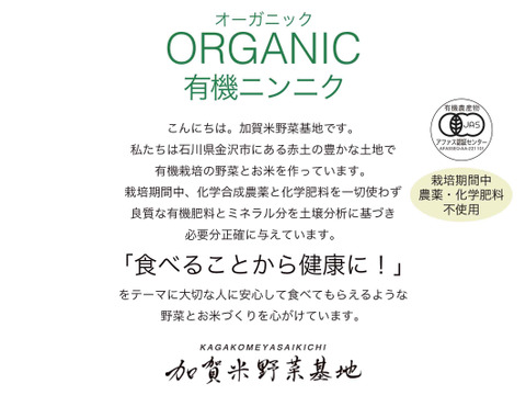 【有機JAS】にんにく(バラ）　500g　R6年産　＜農薬・化学肥料・除草剤不使用＞