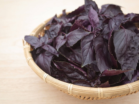採れたて！新鮮ダークオパールバジル 100g 【農薬化学肥料不使用】