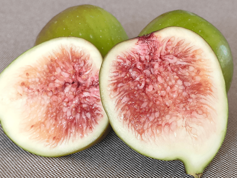 いちじくセミドライフルーツ　てん菜糖で煮込み柔らかめに乾燥　2袋セット