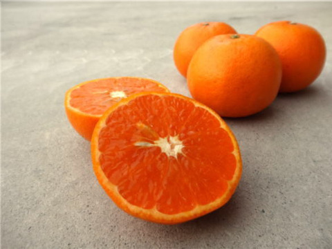 せとかの親系統品種で話題！やみつきになる「甘み」と「味わい」！「蜜之望（みつののぞみ）」　サイズ混合　お試し品　約２ｋｇ【346】