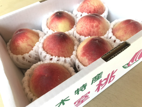 【200円割安】温室桃はなよめ計2.7kg(18〜24個入り)