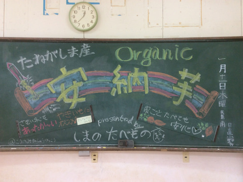 【絶品！自信作】長期貯蔵オーガニック種子島産安納芋10kg(箱込み)