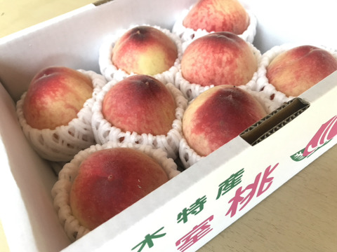 【5月下旬/200円🉐】温室桃はなよめ計2.7kg(18〜24個入り)