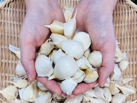 【有機JAS】にんにく(バラ）　500g　R6年産　＜農薬・化学肥料・除草剤不使用＞