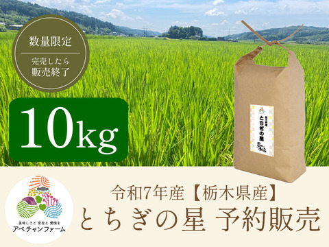 リピーター出品　令和6年産とちぎの星 10kg 米 10kg お米 とちぎの星 送料無料 新米 令和6年 栃木県産