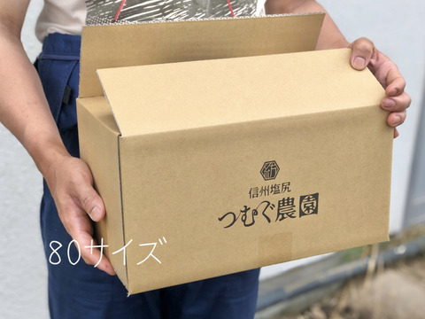 Mサイズ[信州産] 旬のお野菜つめあわせ