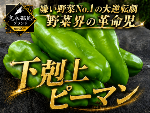 ピーマンさん専用 🫑野菜嫌いが吹っ飛ぶ🫑『下剋上ピーマン』400年土壌の栄養を最大限