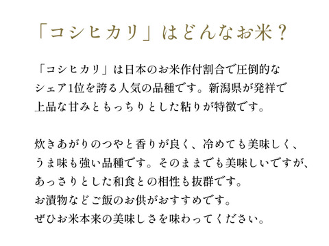 【令和7年産米】コシヒカリ(10kg)白米｜｜栃木県産米｜上品な甘みともっちり食感、冷めても美味しい