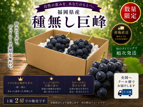 夏ギフト】【先行予約受付中】旬の高級ぶどう/種無し巨峰 2房：福岡県