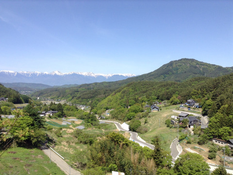 【春休みSale】まあるくはじける☆ポップコーン（バラ500g）　ビールのおともに・こどものおやつに