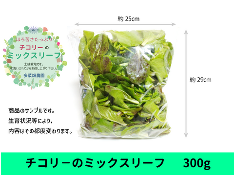 ほろ苦さたっぷり　チコリーのミックスリーフ  300g　露地土耕栽培
