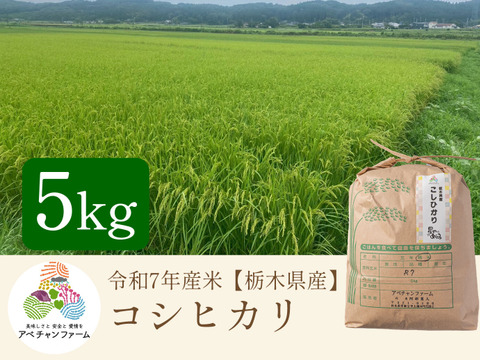 【令和7年産米】コシヒカリ(5kg)白米｜栃木県産米｜上品な甘みともっちり食感、冷めても美味しい