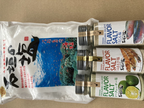 旬の採りたて 石垣島産 島らっきょう 500g 送料全国一律360円 石垣の塩 4種類 小分け 付き 沖縄県産の野菜 食べチョク 産地直送 産直 お取り寄せ通販 農家 漁師から旬の食材を直送
