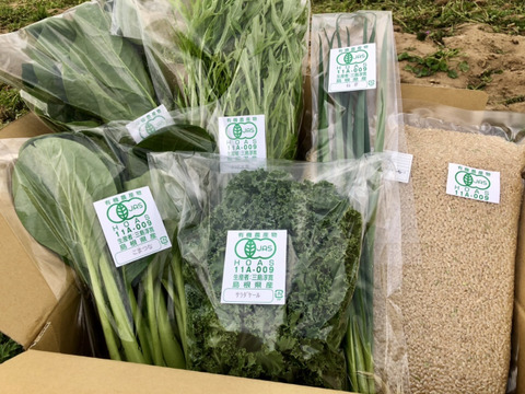 【夜市限定商品】*限定20セット*有機玄米2キロと野菜の詰合せセット