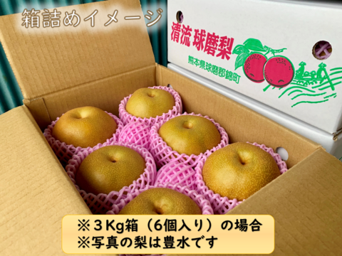梨の王様！『清流球磨梨』新高　約3kg(3～7個入り)