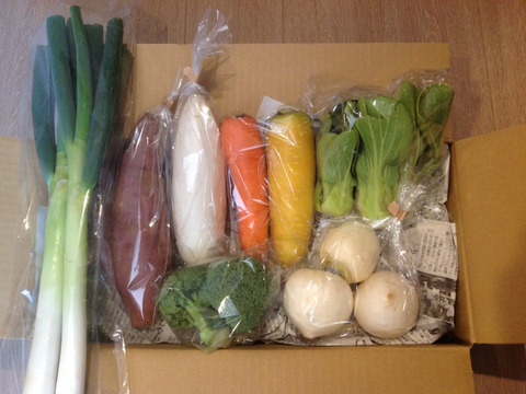 Sサイズ ＊旬野菜セット(約6~7品)【農薬：栽培期間中不使用