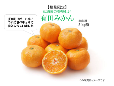 【人気No.1】EG農園のおいしい有田みかん 5キロ箱 和歌山県 有田 みかん 2S~3Lサイズ　家庭用キズあり