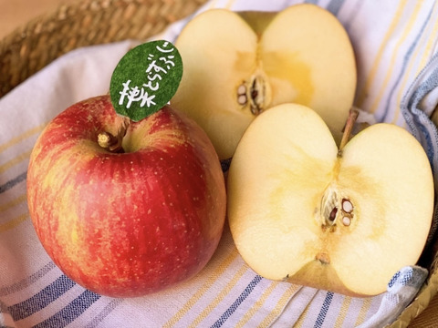 先行予約】🍎《家庭用》青森完熟葉とらずふじ8〜15玉(約3kg