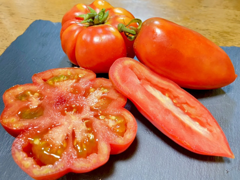 【約1.2kg】本場イタリアの味を完熟で‼️ イタリアントマトのフィオレンティーノとサンマルツァーノ食べ比べセット