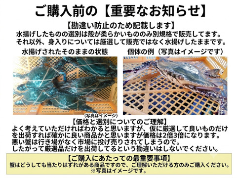活梱包！オス大サイズ ２ｋｇ（約６杯）ガザミ 渡り蟹 ワタリガニ 日本三景松島産 がざみ わたりがに 活蟹 活カニ 梭子蟹  ケジャン 松島牡蠣屋 生カニ 生蟹 雄