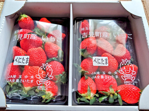 【新品種べにたま】２パック(500g) ついに解禁🍓