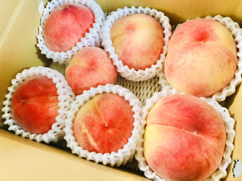 【期間限定！山梨県産桃訳アリ品種いろいろ🍑】すぐ発送！約2キロ！中～特大サイズランダム6～８個！一度食べたら忘れられない  その時期一番おいしい品種をお届け【品種おまかせ】