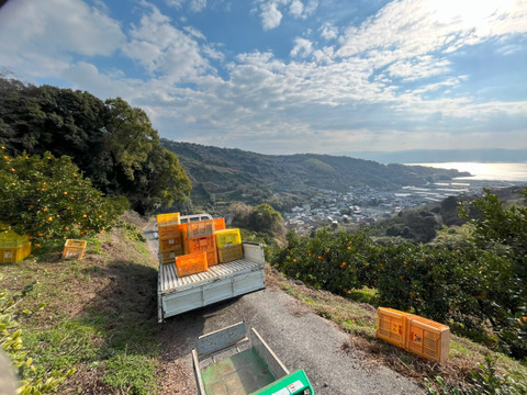 laNui labo.　大見柑ストレートジュース720㎖/本×3本　🍊デコポン発祥の地・不知火町より