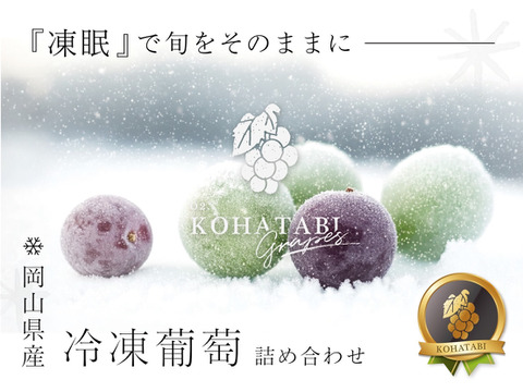 【冷眠】で旬をそのままに！
晴れの国岡山県産
冷凍ぶどう詰め合わせ120g×4Ｐ