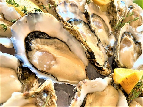 【食べ比べ】真牡蠣と岩牡蠣の食べ比べセット
みるくがきM サイズと糸島サウンドMサイズ 合計6個　生食可