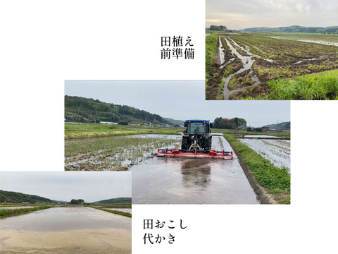 令和4年産20kg『新米*とちぎの星』*無洗米*大嘗祭献上米 3101-