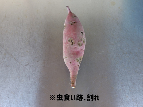 【訳ありＢ品】熟成不要のさつま芋「あまはづき5kg」（虫害・割れ・キズあり、小～中サイズ、栽培期間中農薬・肥料不使用）