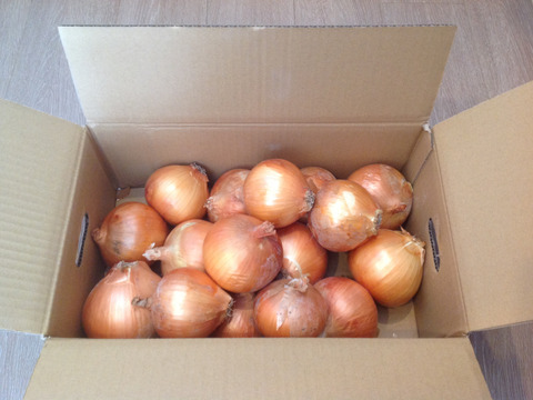 少し訳あり「あま〜くて」美味しい淡路島玉ねぎ　5kg