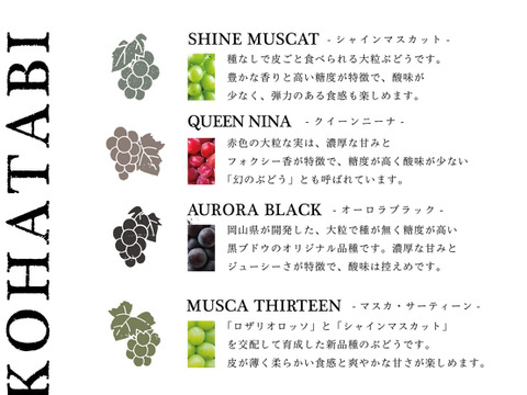 【冷眠】で旬をそのままに！
晴れの国岡山県産
冷凍ぶどう詰め合わせ150g×4p