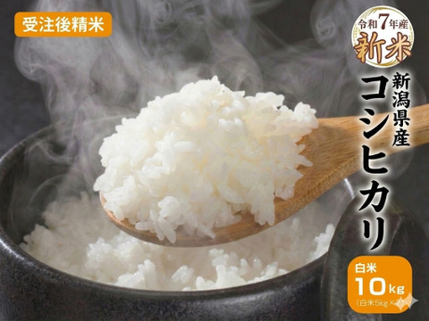 【新米】R6年　千葉県香取市　コシヒカリ 精米10Kg 農家直送 令和7年新米】コシヒカリ 10kg（精米）豊かな甘みと強い粘り！自家製